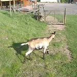 Lejlighed Les De La Bergerie *