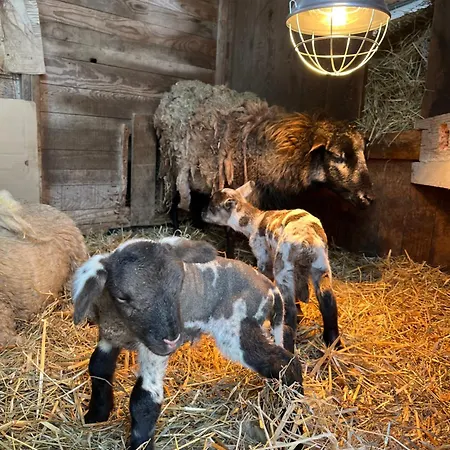 Apartmán Les De La Bergerie Xonrupt-Longemer