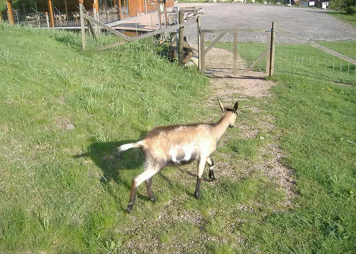 Apartmán Les De La Bergerie *