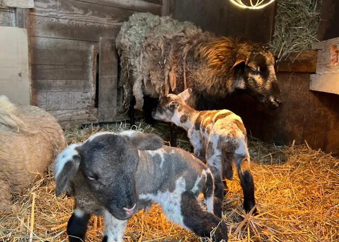 Apartmán Les De La Bergerie Xonrupt-Longemer